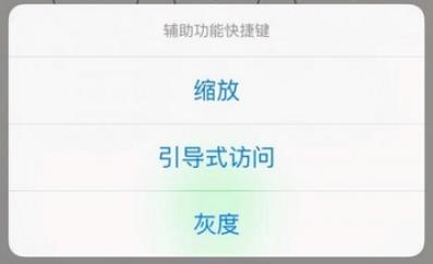 苹果手机的引导式访问是什么