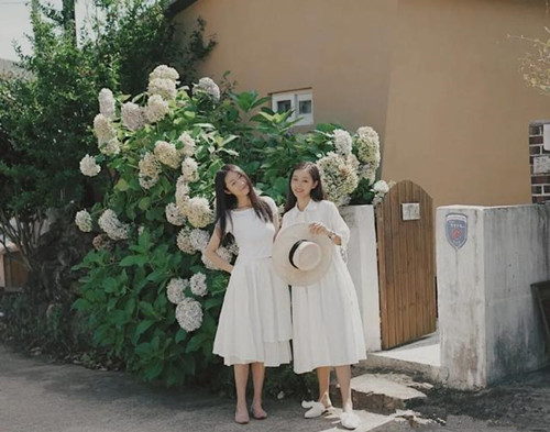 手机拍照软件哪个好