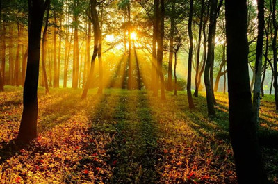 风景摄影中的曝光决定与曝光补偿