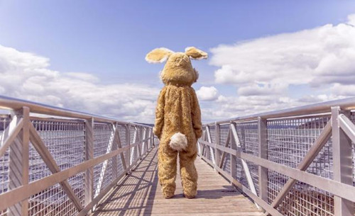 对称式构图的拍摄技巧