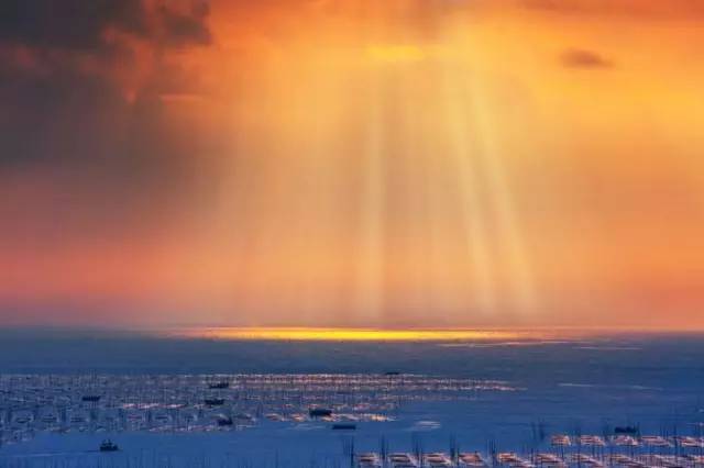 北岐滩涂图片-图片2