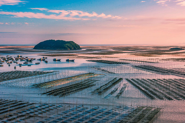 北岐滩涂图片-图片3