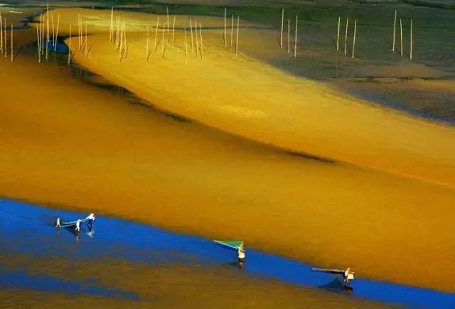 北岐滩涂图片-图片5