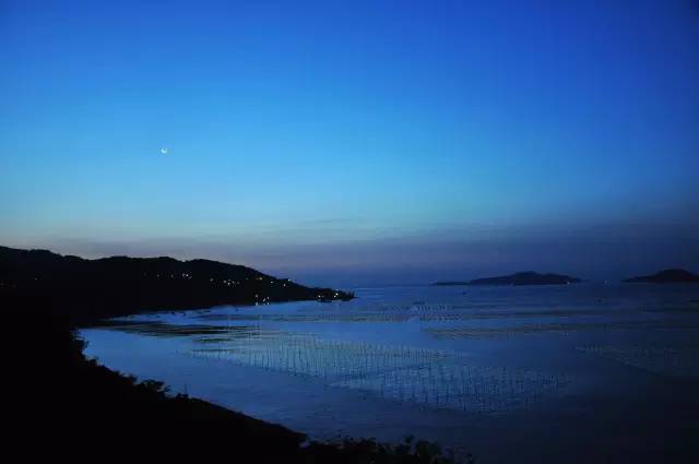 北岐滩涂图片-图片7