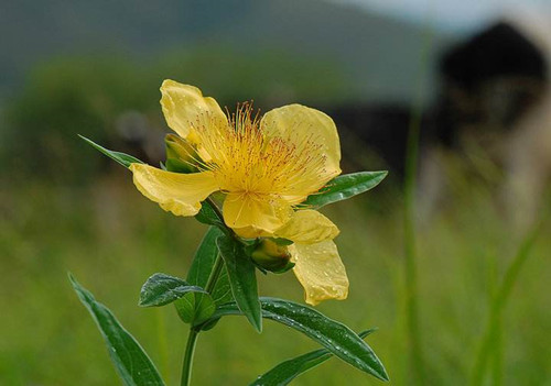 摄影的精神准备