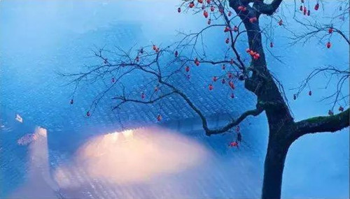 框架式构图技巧-图片1