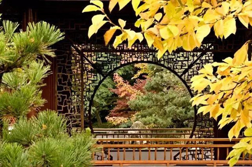 框架式构图技巧-图片3