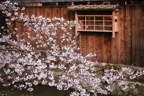 框架式构图技巧