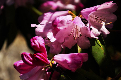 摄影的精神准备