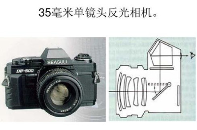 拍摄花需要的摄影器材-图片1