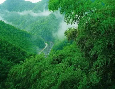 外景地-图片1