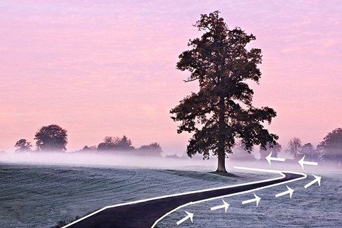 引导线构图是什么