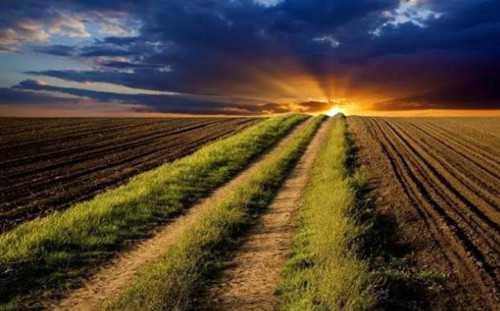 引导线构图技巧