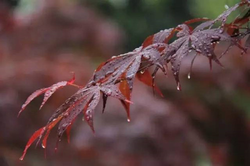 对角线构图什么意思