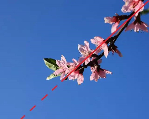 对角线构图什么意思