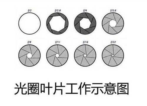 光圈的作用-图片1