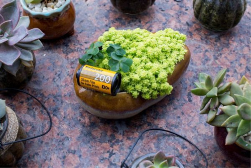 光圈的作用-图片5