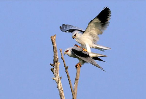 快门在摄像中的作用-图片2