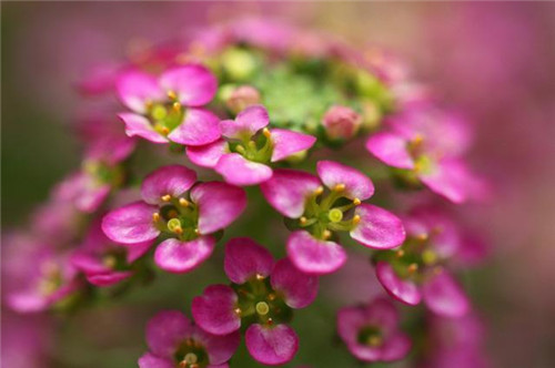 摄影照明的种类及技巧-图片1