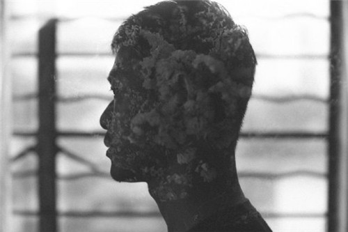 摄影拍摄手法的运用