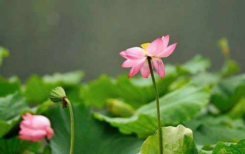 摄影拍摄手法的运用