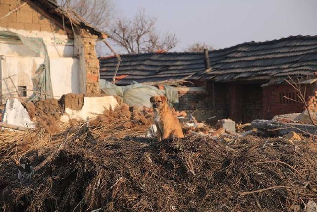 生活中的一个小镜头-图片1
