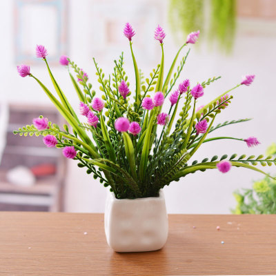 装饰室内的盆花拍摄技巧-图片1