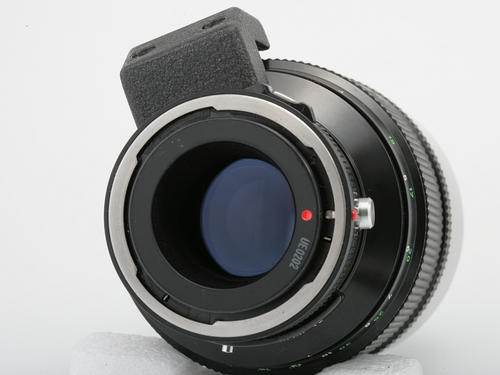 野鸟摄影选哪种镜头最适用-图片3