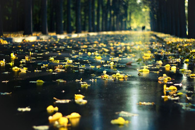 自然风景摄影时候怎么利用外部环境——时间、场所、季节-图片3