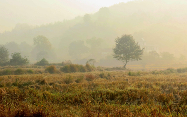 皖南古村落——安徽塔川古镇秋色图-图片3