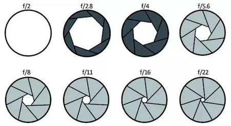 摄影技巧有哪些