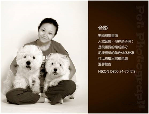 宠物摄影图片-图片25