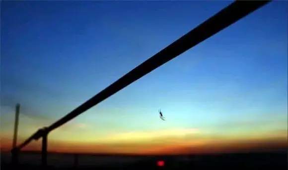 对角线构图的摄影作品