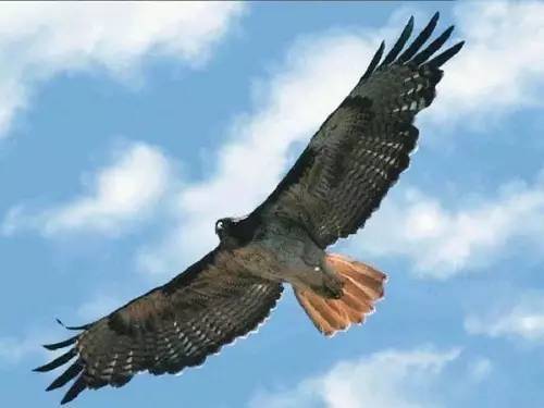 对角线构图的摄影作品