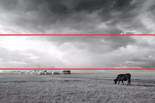 摄影技巧有哪些