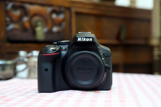 尼康D5300(单机) 外观性能-图片1