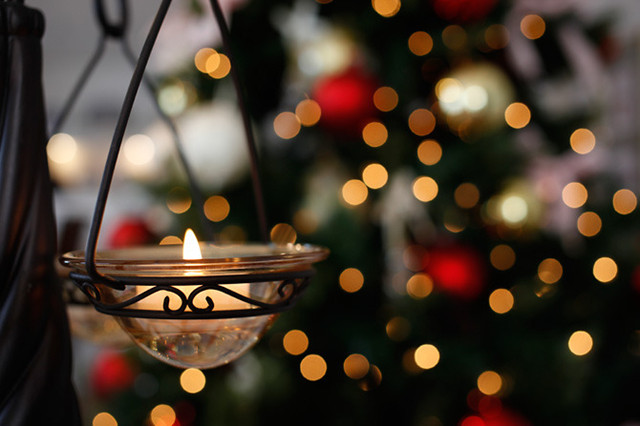 微距镜头焦距怎么选择-图片3