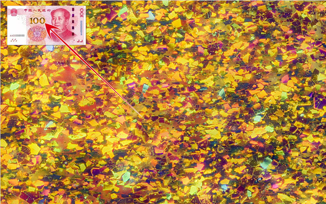 微距镜头焦距怎么选择-图片7