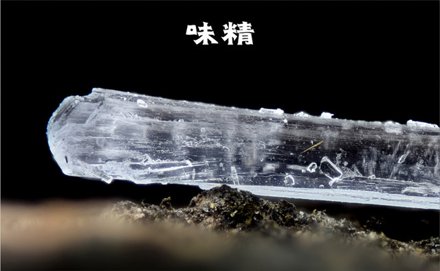 微距镜头焦距怎么选择