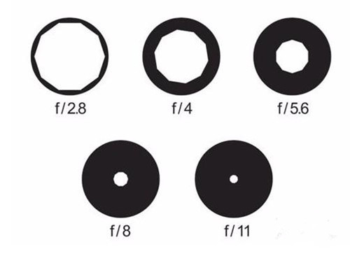 摄影技巧有哪些
