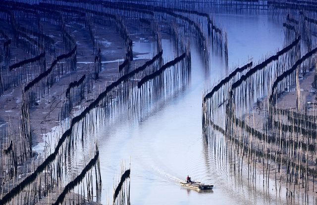 霞浦滩涂摄影作品-图片1