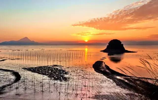 霞浦滩涂摄影作品-图片3