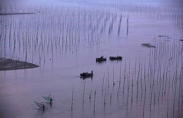 霞浦滩涂摄影作品
