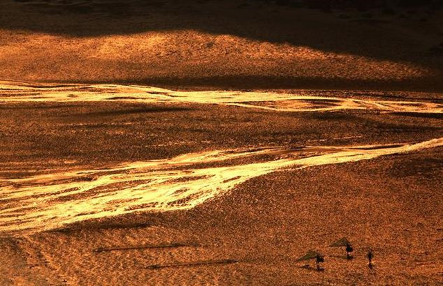 霞浦滩涂摄影作品