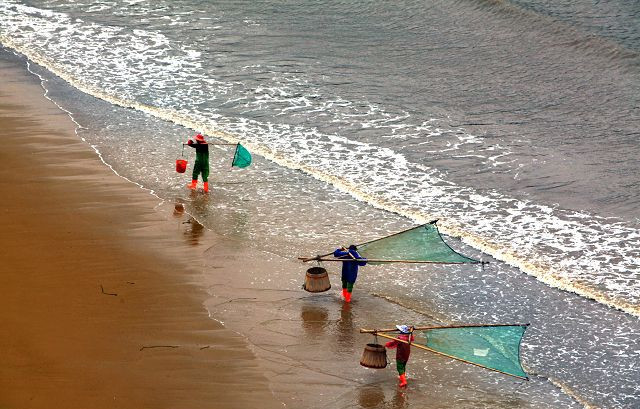 霞浦滩涂摄影作品-图片6
