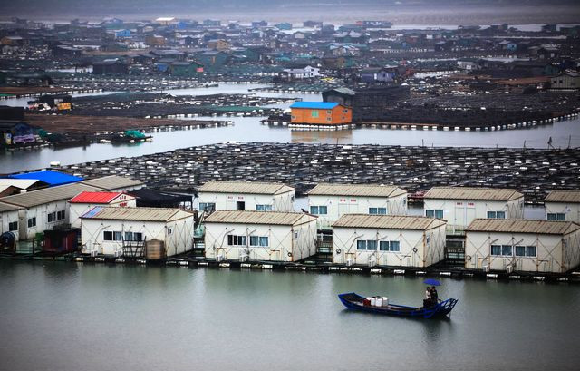 霞浦滩涂摄影作品-图片7