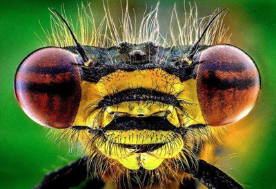 像素是什么意思