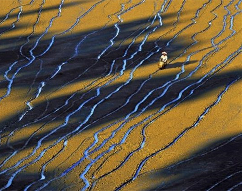 霞浦滩涂摄影技巧