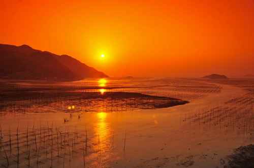 霞浦滩涂摄影技巧