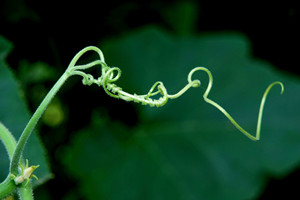 大自然不断变化的风景